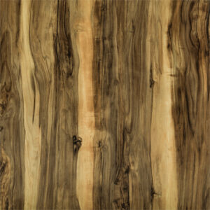 פלטה ורצלית הודי